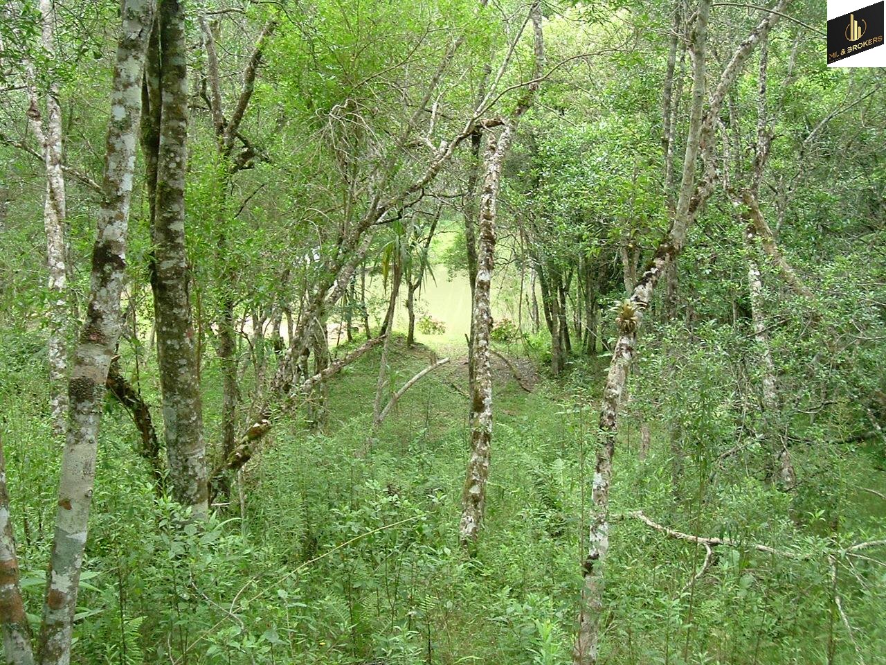 43.950M2/5.500 HOSPITAL A. CARON/IDEAL CASA REPOUSO COM ALOJAMENTO 40 PESSOAS