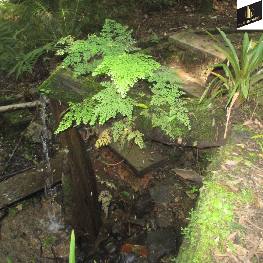 43.950M2/5.500 HOSPITAL A. CARON/IDEAL CASA REPOUSO COM ALOJAMENTO 40 PESSOAS