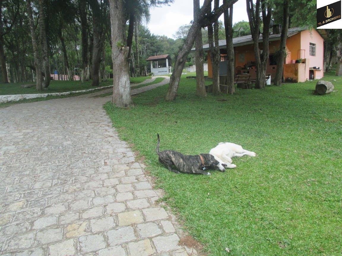 43.950M2/5.500 HOSPITAL A. CARON/IDEAL CASA REPOUSO COM ALOJAMENTO 40 PESSOAS