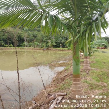 34.936M2/TERRENO PLANO/22 KM ATE MATINHO/CAIOBA/700 M CACHOEIRA QUINTILHA