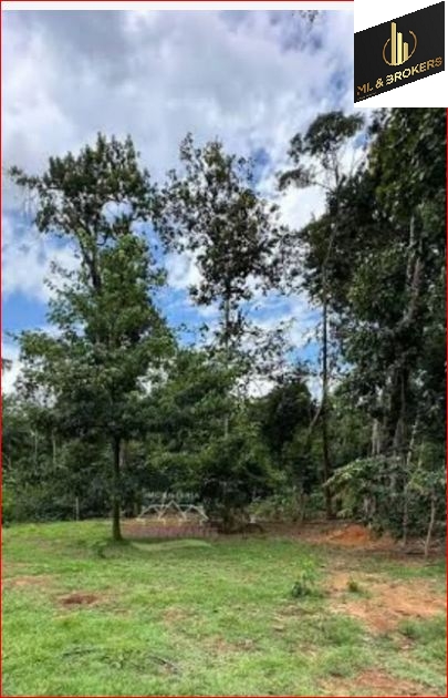 20.000M2/BAIRRO CAPINZAL/OTIMA LOCALIZAÇÃO/IDEAL INVESTIDOR