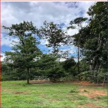 20.000M2/BAIRRO CAPINZAL/OTIMA LOCALIZAÇÃO/IDEAL INVESTIDOR