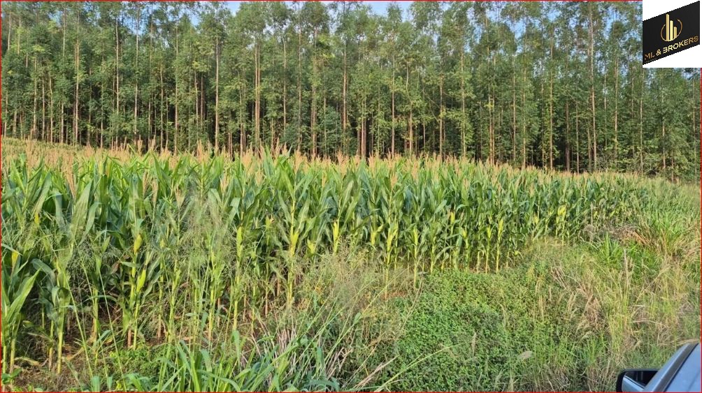 297.420M2/12,29 ALQUEIRES/IDEAL INVESTIDORES