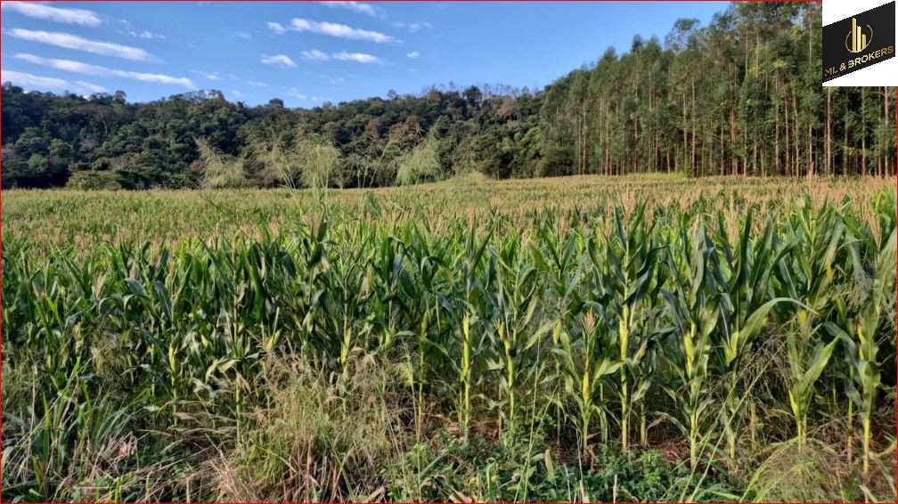 297.420M2/12,29 ALQUEIRES/IDEAL INVESTIDORES