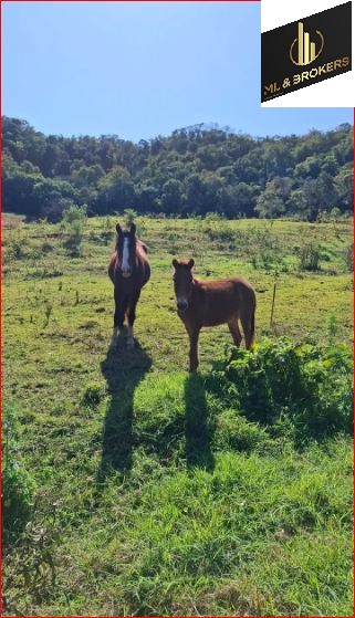 297.420M2/12,29 ALQUEIRES/IDEAL INVESTIDORES