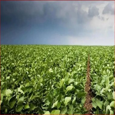 1.645.600M2/68 ALQUEIRES/IDEAL INVESTIDORES