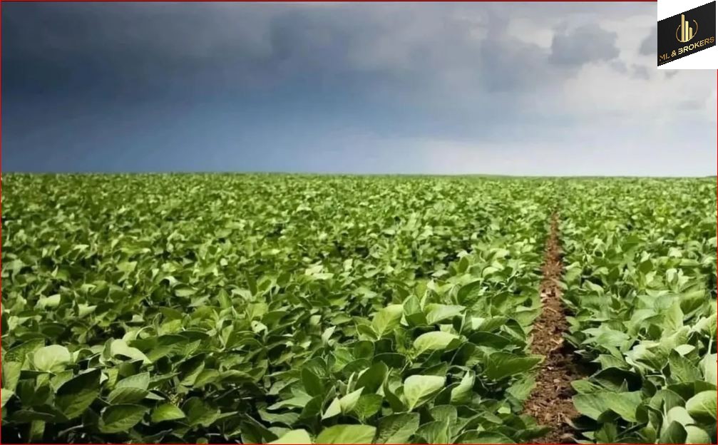 1.645.600M2/68 ALQUEIRES/IDEAL INVESTIDORES