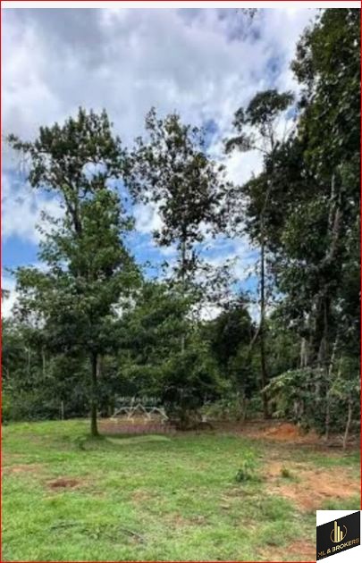 20.000M2/CAPINZAL/COM MATRICULA/IDEAL INVESTIDORES