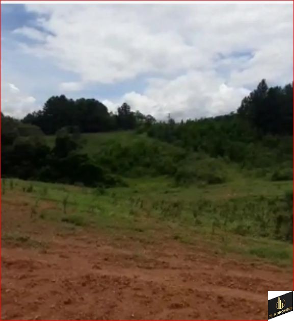 20.000M2/CAPINZAL/COM MATRICULA/IDEAL INVESTIDORES