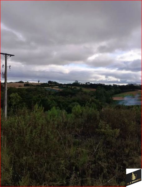 20.000M2/CAPINZAL/COM MATRICULA/IDEAL INVESTIDORES