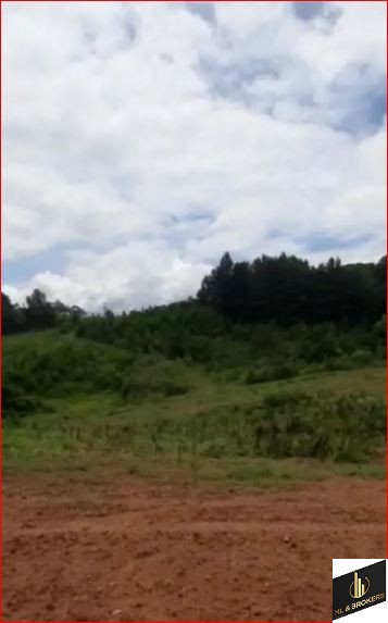 20.000M2/CAPINZAL/COM MATRICULA/IDEAL INVESTIDORES