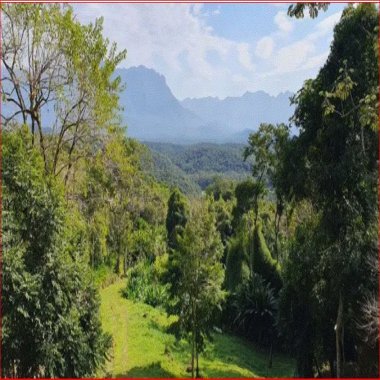 40.500M2/PERTO PR 408/LOCAL VISTA SERRA DO MAR/IDEAL INVESTIMENTO