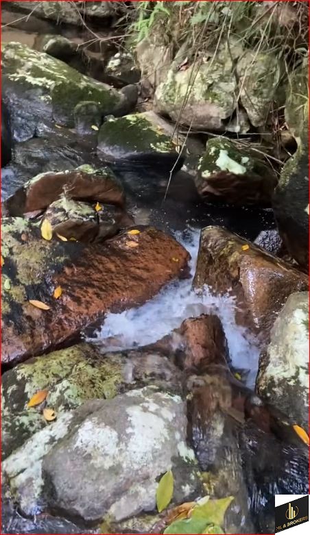 68.445M2/180 METROS PRAIA/IDEAL HOTEIS/POUSADAS/ASSOCIAÇÕES/COMERCIAL  FRENTE