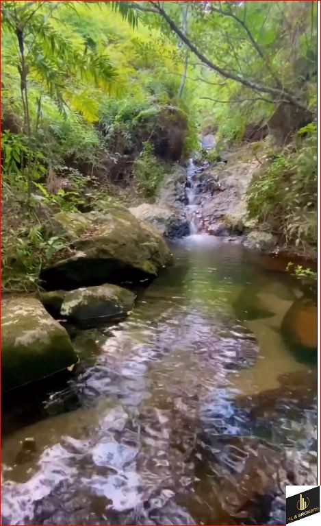 68.445M2/180 METROS PRAIA/IDEAL HOTEIS/POUSADAS/ASSOCIAÇÕES/COMERCIAL  FRENTE