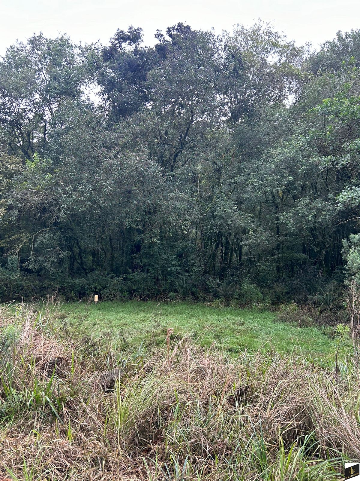 48.200M2/6 TANQUES PEIXE/RIACHO/IDEAL INVESTIDORES