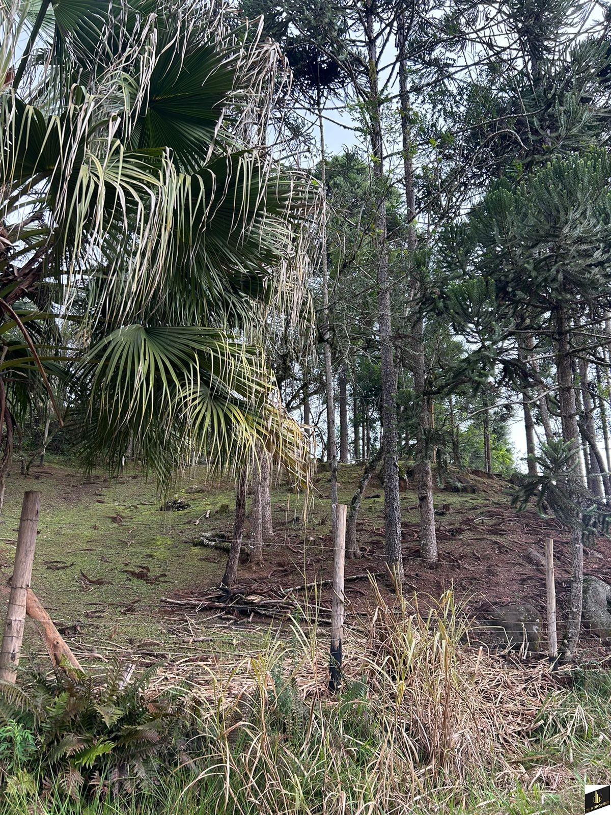 48.200M2/6 TANQUES PEIXE/RIACHO/IDEAL INVESTIDORES