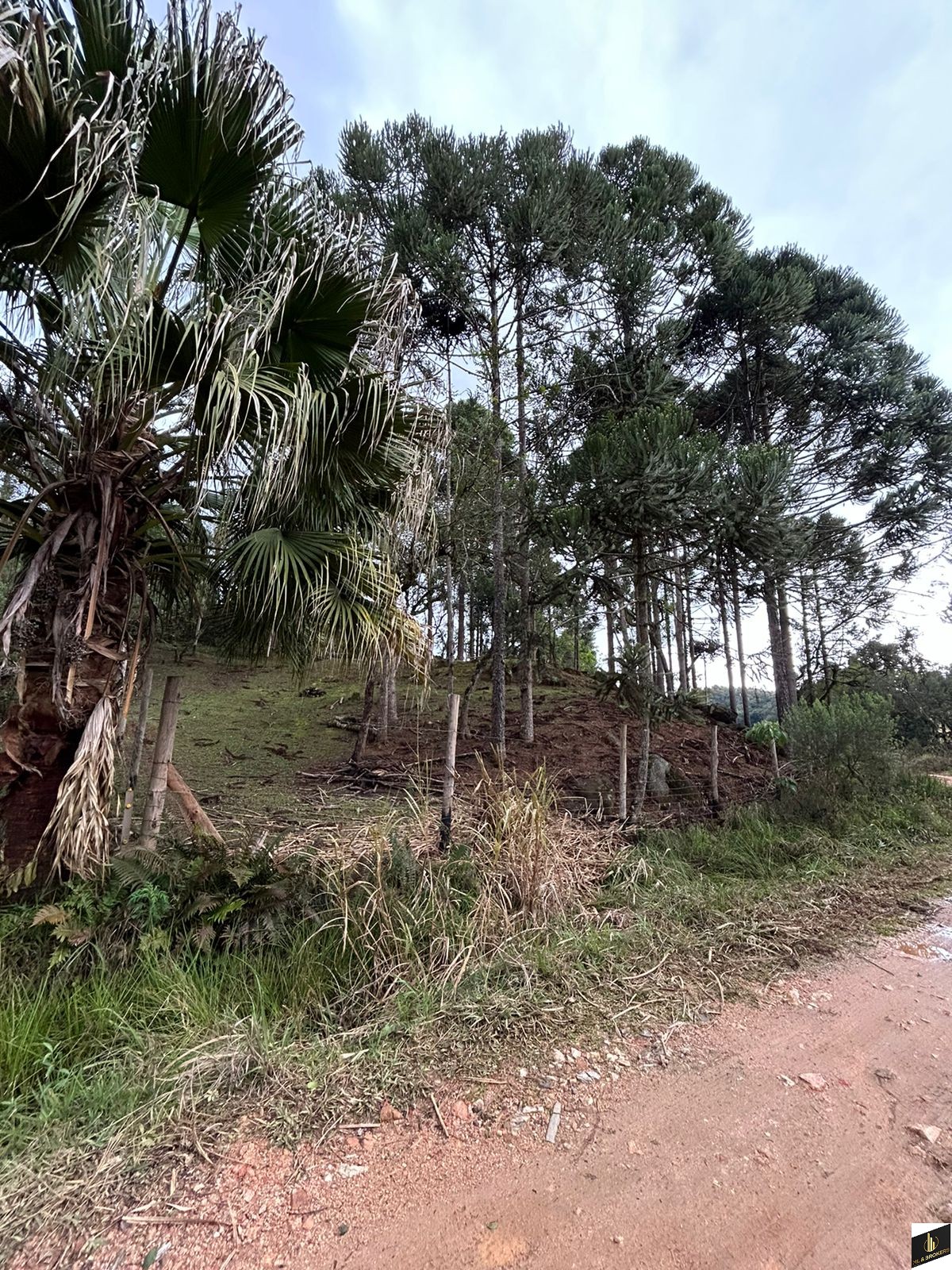 48.200M2/6 TANQUES PEIXE/RIACHO/IDEAL INVESTIDORES