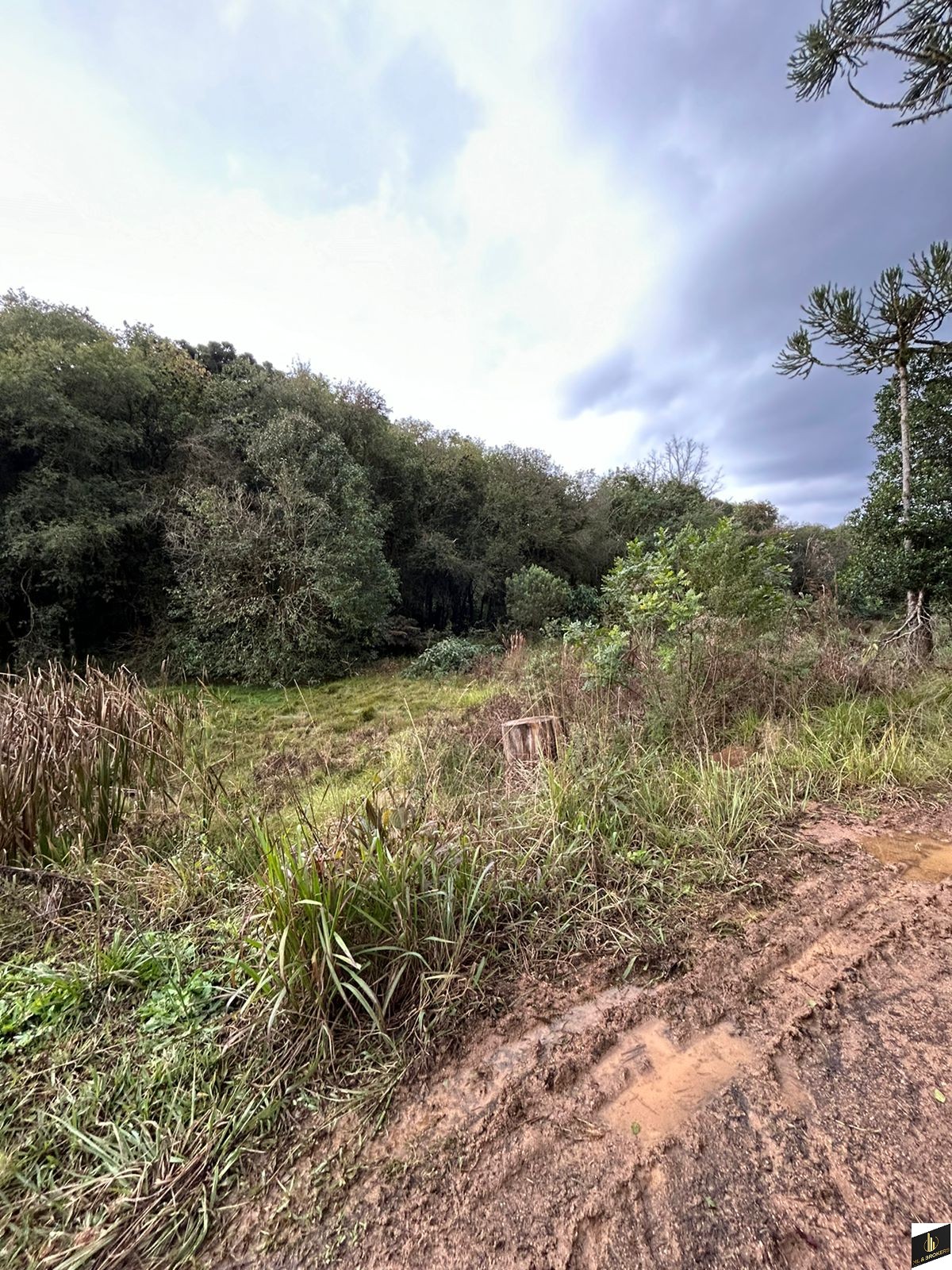 48.200M2/6 TANQUES PEIXE/RIACHO/IDEAL INVESTIDORES