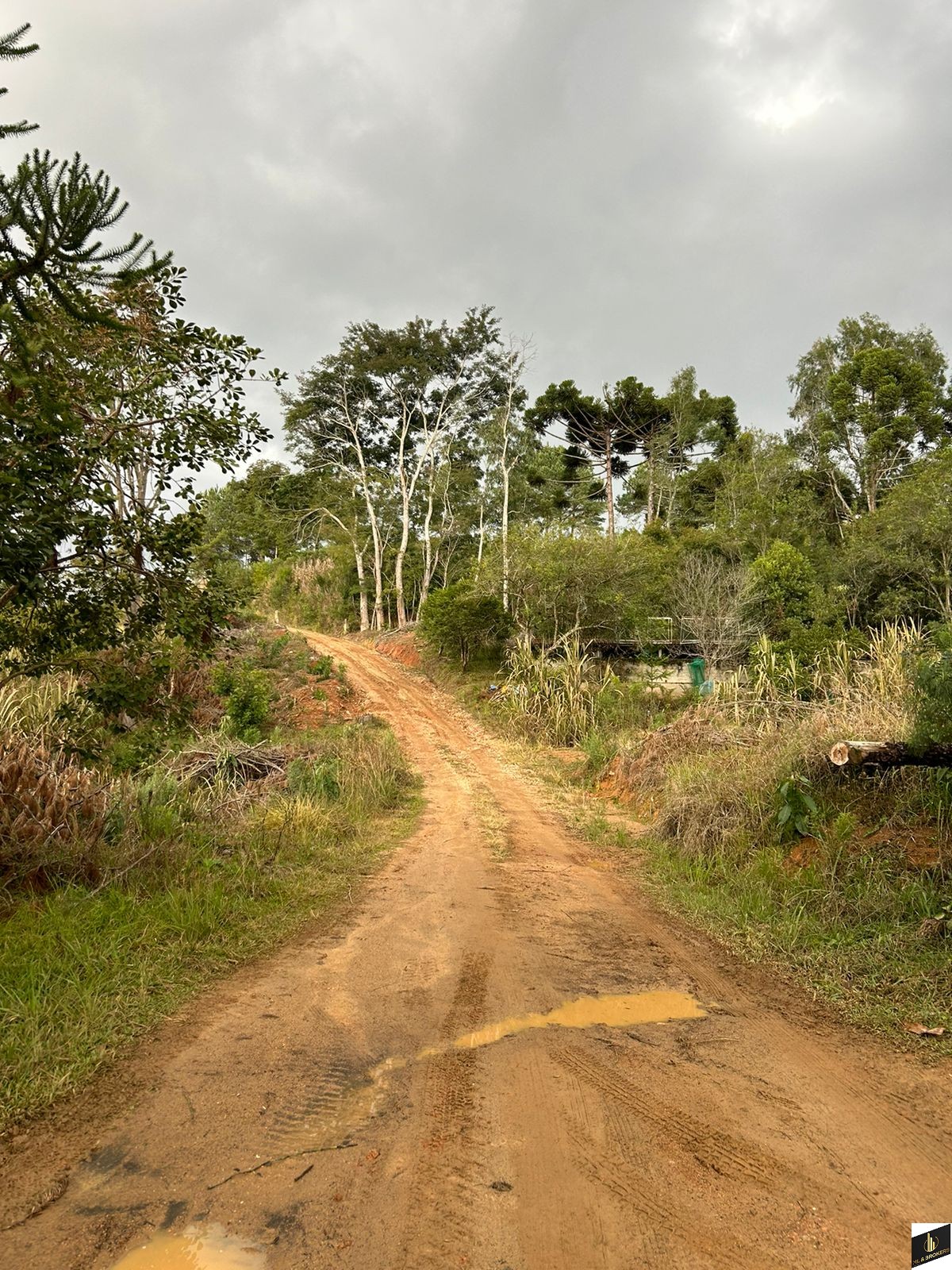 48.200M2/6 TANQUES PEIXE/RIACHO/IDEAL INVESTIDORES