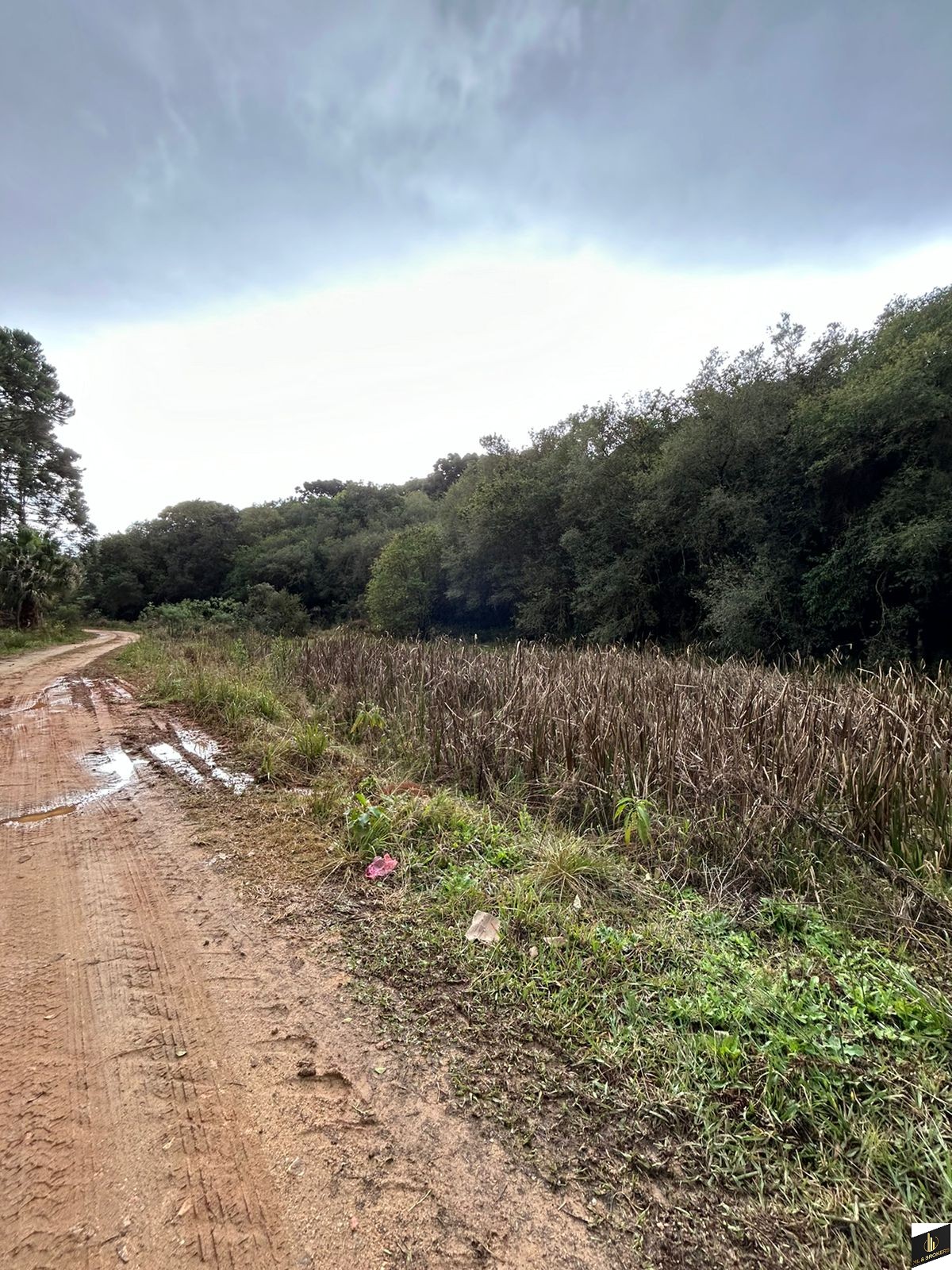 48.200M2/6 TANQUES PEIXE/RIACHO/IDEAL INVESTIDORES