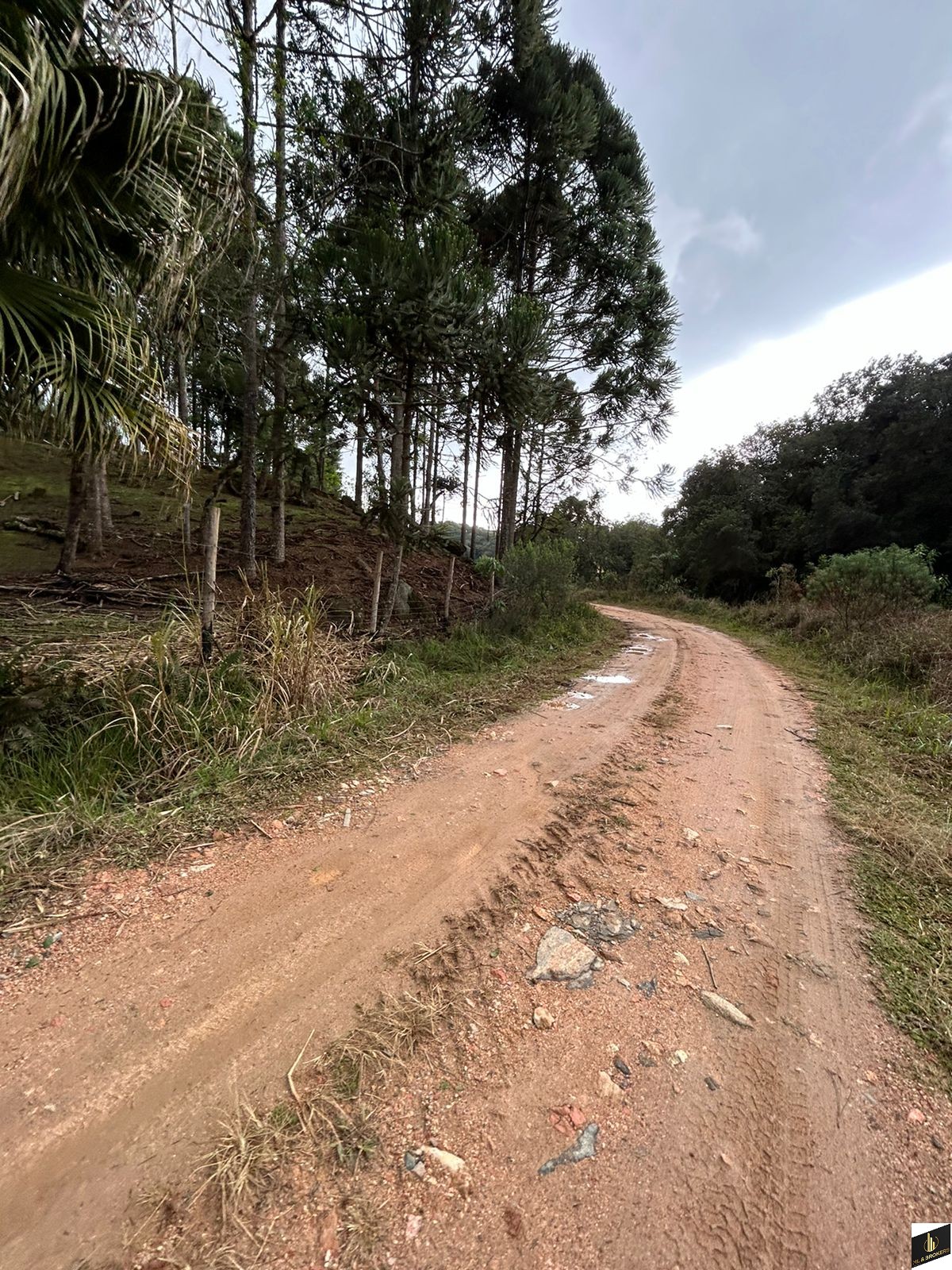 48.200M2/6 TANQUES PEIXE/RIACHO/IDEAL INVESTIDORES