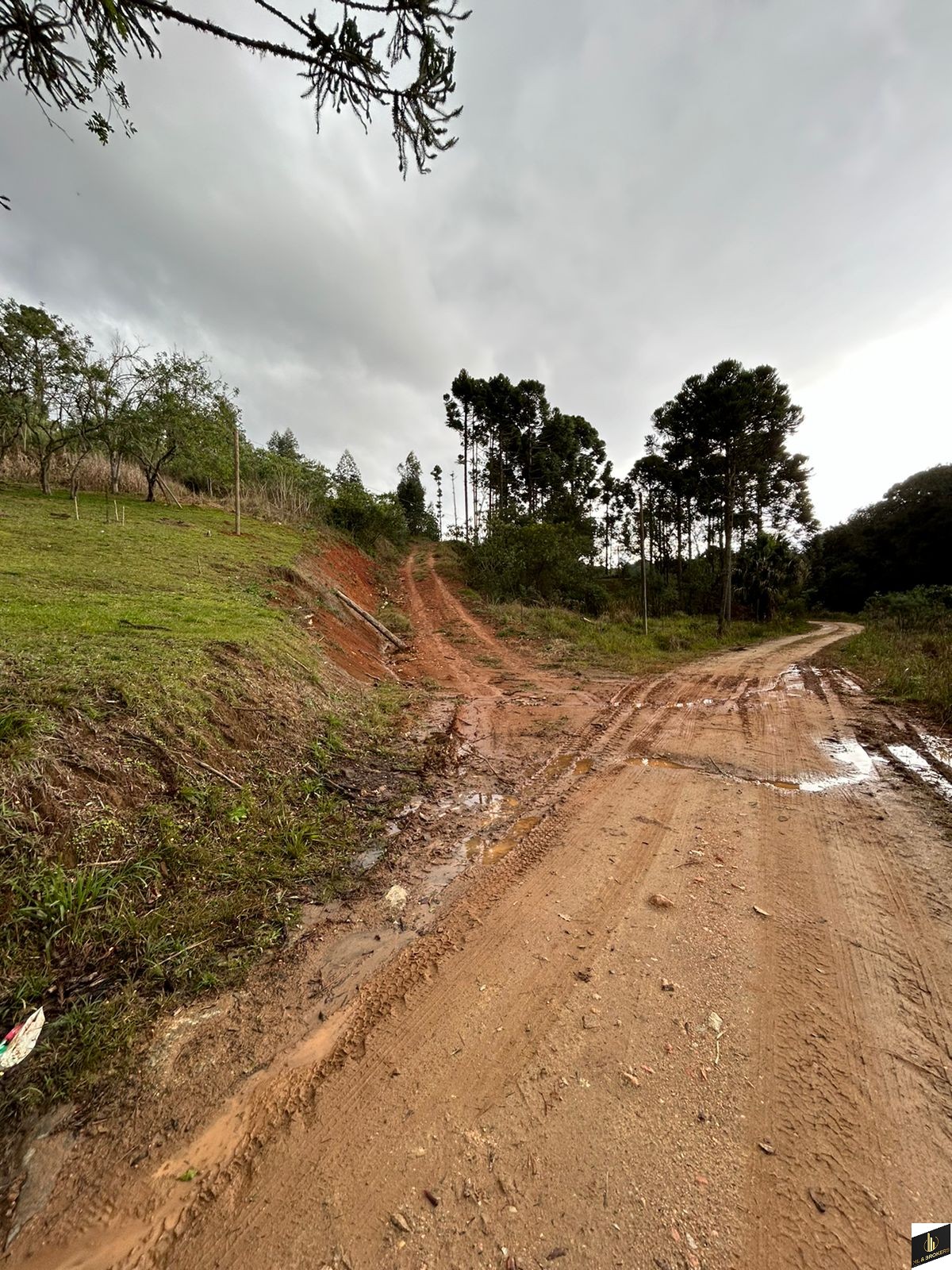 48.200M2/6 TANQUES PEIXE/RIACHO/IDEAL INVESTIDORES