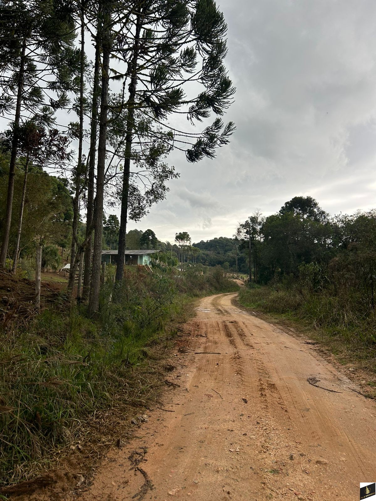 48.200M2/6 TANQUES PEIXE/RIACHO/IDEAL INVESTIDORES