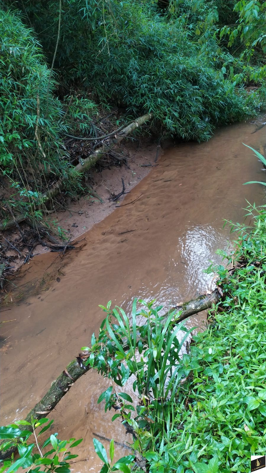 48.200M2/6 TANQUES PEIXE/RIACHO/IDEAL INVESTIDORES