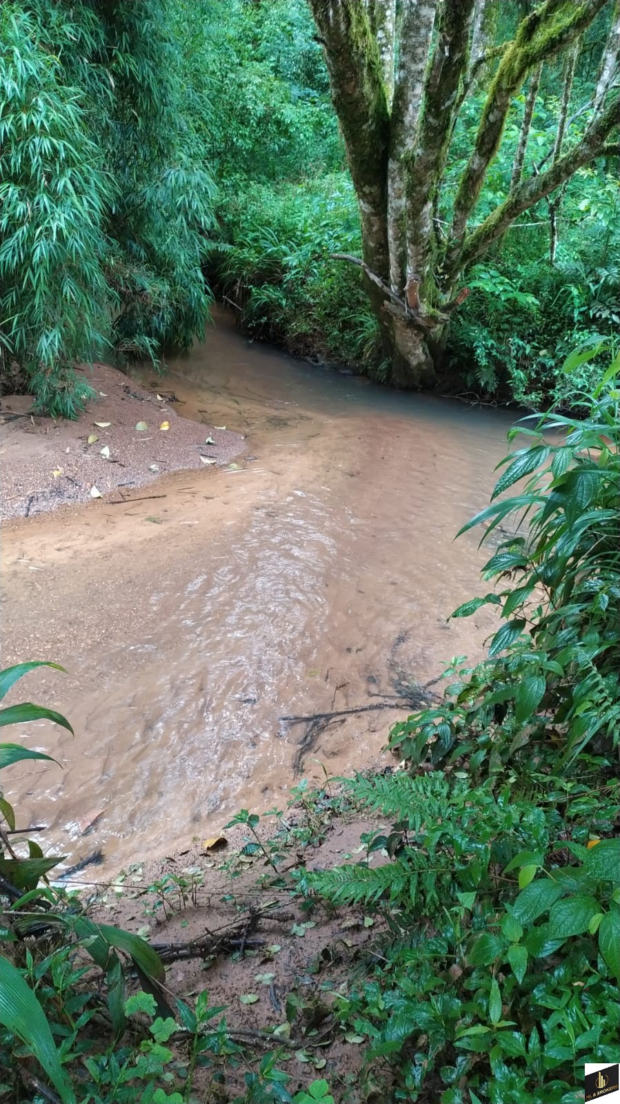 48.200M2/6 TANQUES PEIXE/RIACHO/IDEAL INVESTIDORES