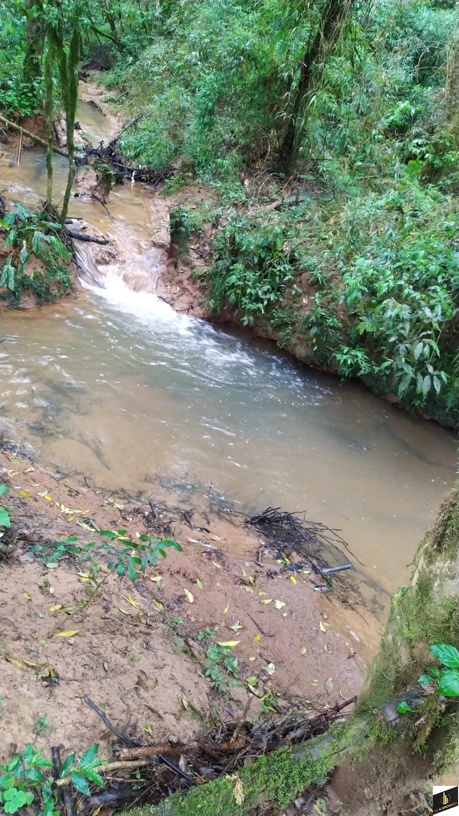 48.200M2/6 TANQUES PEIXE/RIACHO/IDEAL INVESTIDORES