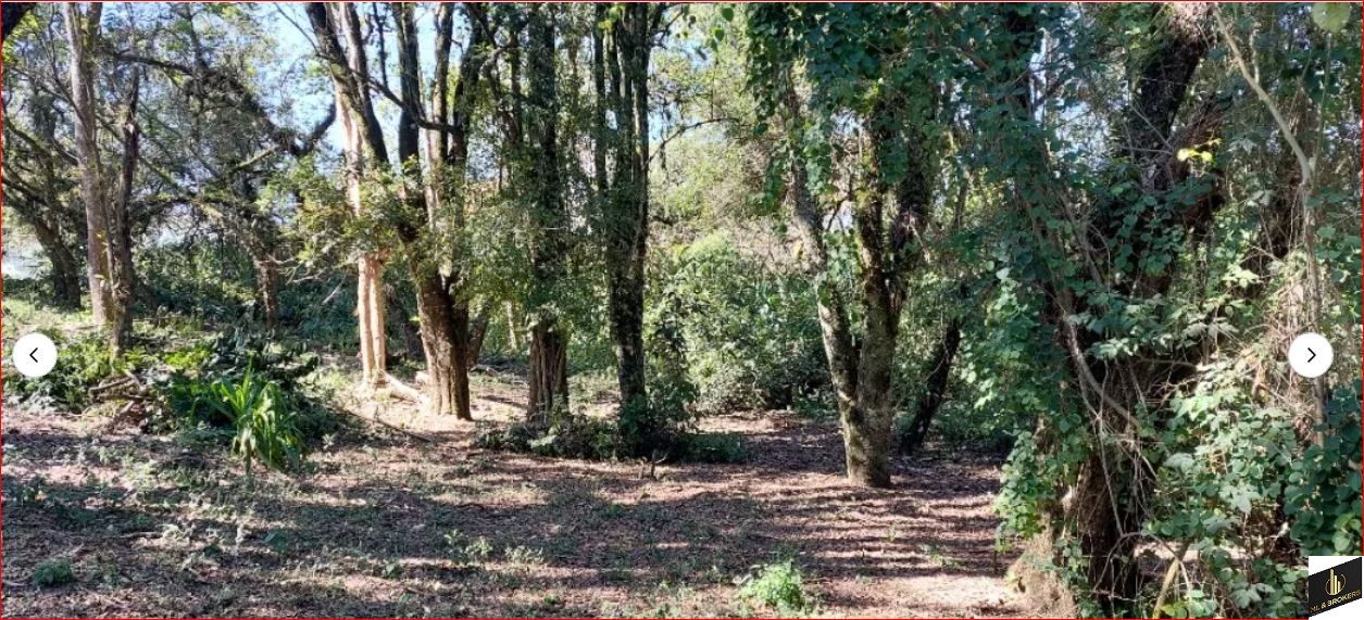 5.428M2/SÃO LOURENÇO/ZR-2/COMERCIAL/RESIDENCIAL/IDEAL INVESTIDORES