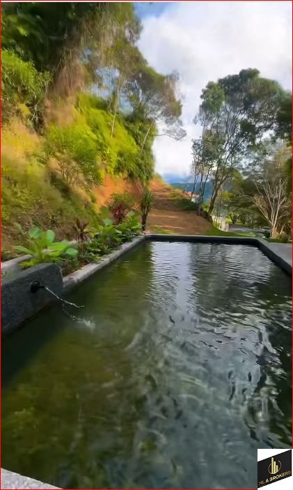 CHACARA 40.000M2/NOVA TRENTO/CASA 510M2/IDEAL INVESTIDORES