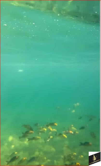 CHACARA 40.000M2/NOVA TRENTO/CASA 510M2/IDEAL INVESTIDORES