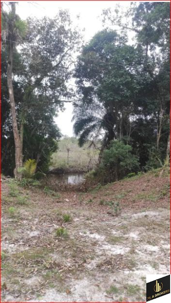 60.000M2/BEIRA RIO AGUA VERMELHA/SAIDA BAIA GUARATUBA/IDEAL INVESTIDORES