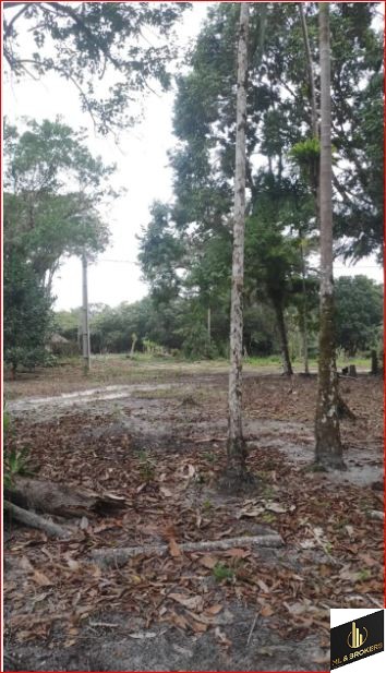 60.000M2/BEIRA RIO AGUA VERMELHA/SAIDA BAIA GUARATUBA/IDEAL INVESTIDORES