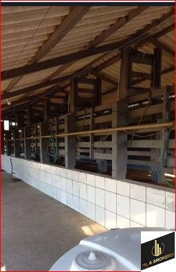 33ALQUEIRES/PRODUÇÃO 400 L CACHAÇA DIA/14 DIVISÃO PASTAGEM/ESTABULO/IDEAL INVESTIDORES