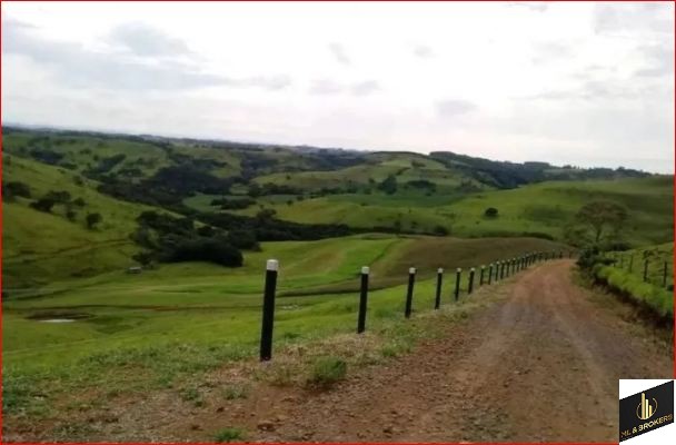 33ALQUEIRES/PRODUÇÃO 400 L CACHAÇA DIA/14 DIVISÃO PASTAGEM/ESTABULO/IDEAL INVESTIDORES