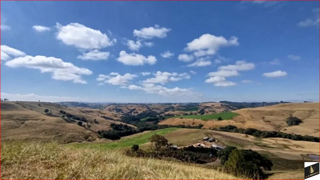33ALQUEIRES/PRODUÇÃO 400 L CACHAÇA DIA/14 DIVISÃO PASTAGEM/ESTABULO/IDEAL INVESTIDORES