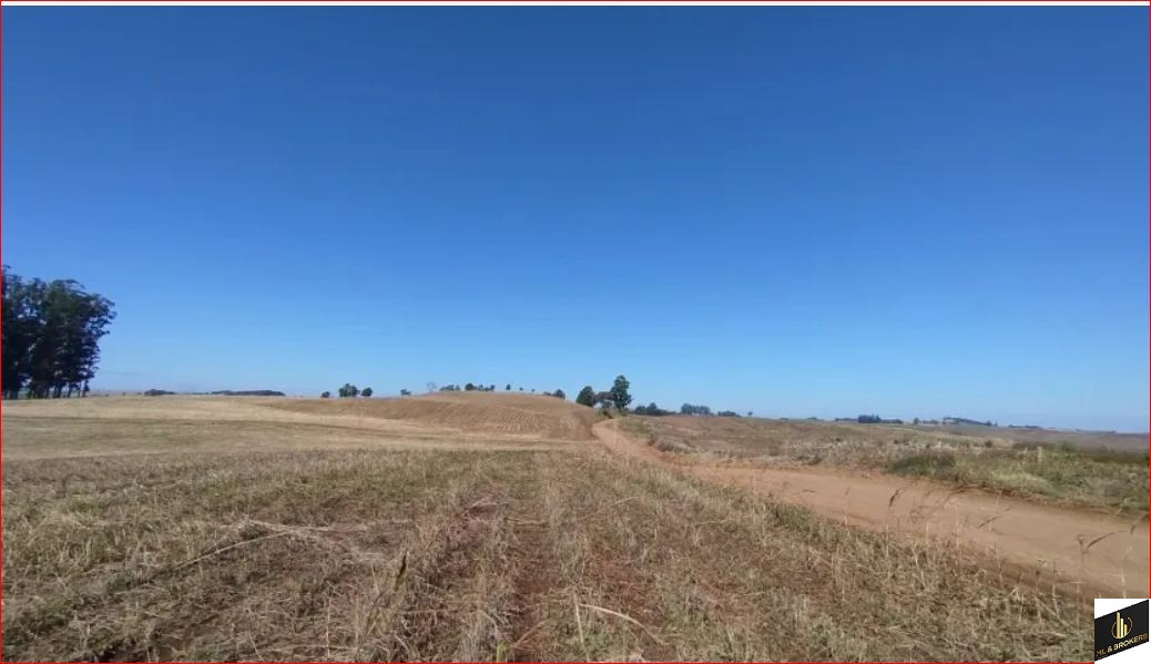 33ALQUEIRES/PRODUÇÃO 400 L CACHAÇA DIA/14 DIVISÃO PASTAGEM/ESTABULO/IDEAL INVESTIDORES