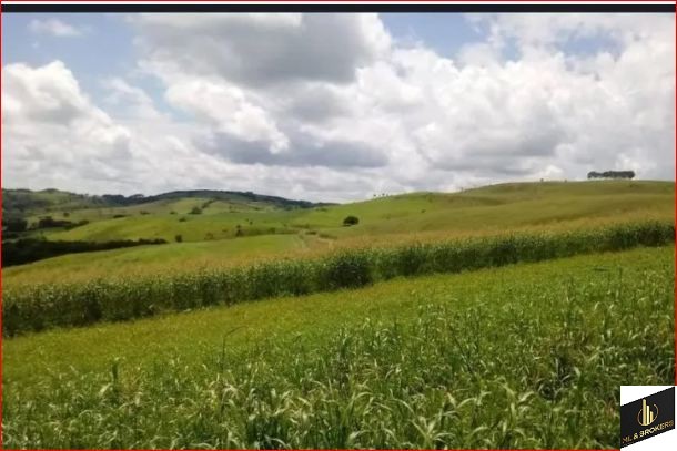 33ALQUEIRES/PRODUÇÃO 400 L CACHAÇA DIA/14 DIVISÃO PASTAGEM/ESTABULO/IDEAL INVESTIDORES