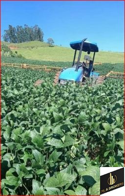 33ALQUEIRES/PRODUÇÃO 400 L CACHAÇA DIA/14 DIVISÃO PASTAGEM/ESTABULO/IDEAL INVESTIDORES