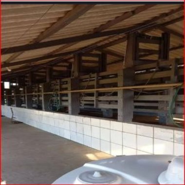 33ALQUEIRES/PRODUÇÃO 400 L CACHAÇA DIA/14 DIVISÃO PASTAGEM/ESTABULO/IDEAL INVESTIDORES