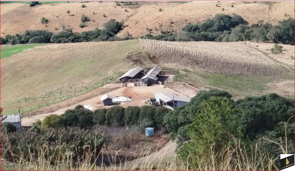 33ALQUEIRES/PRODUÇÃO 400 L CACHAÇA DIA/14 DIVISÃO PASTAGEM/ESTABULO/IDEAL INVESTIDORES