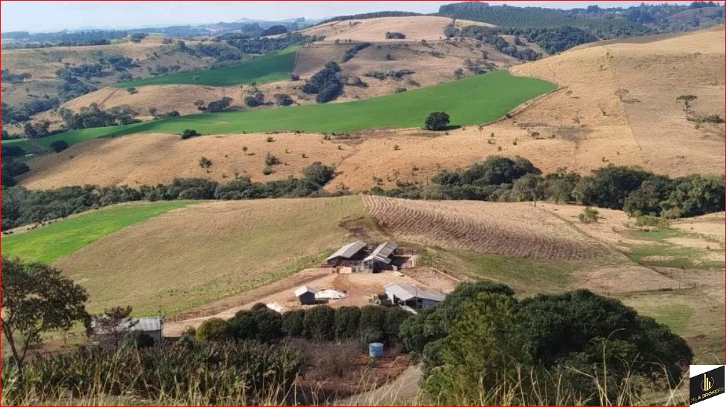 33ALQUEIRES/PRODUÇÃO 400 L CACHAÇA DIA/14 DIVISÃO PASTAGEM/ESTABULO/IDEAL INVESTIDORES