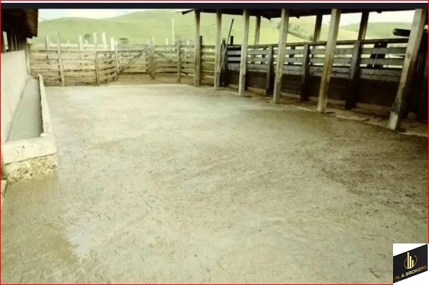 33ALQUEIRES/PRODUÇÃO 400 L CACHAÇA DIA/14 DIVISÃO PASTAGEM/ESTABULO/IDEAL INVESTIDORES