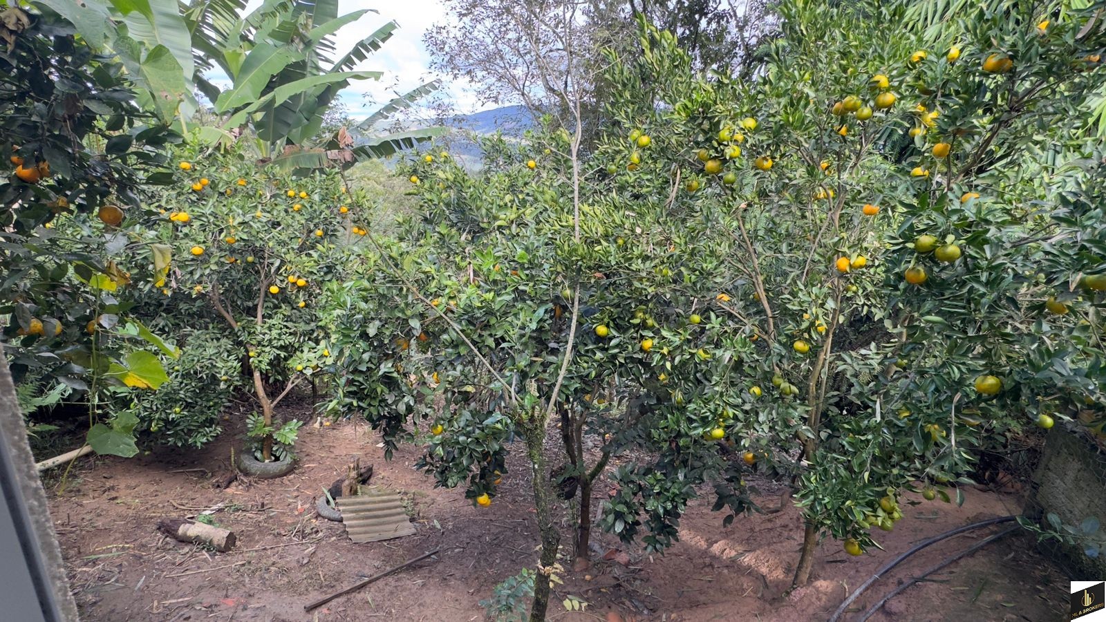 CONDOMINIO FECHADO/4.801M2/100% ASFALTO/PERTO CAMPO LARGO/ESTRADA ITAMBE