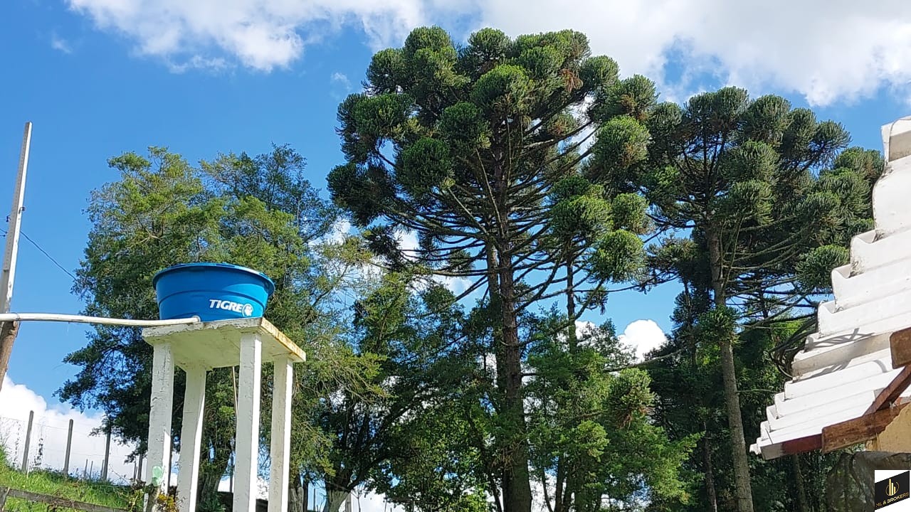 20.000M2/1 KM ATE ASFALTO/PRONTA PARA SEU LAZER/ 11 KM ARAUCARIA/IDEAL AIRBNB