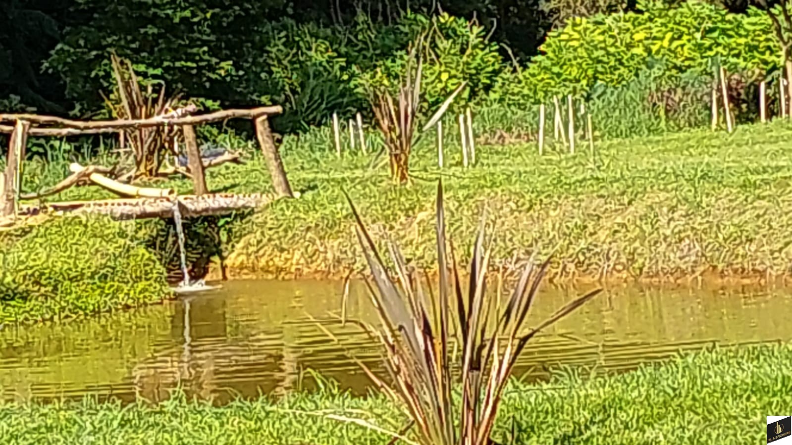 20.000M2/1 KM ATE ASFALTO/PRONTA PARA SEU LAZER/ 11 KM ARAUCARIA/IDEAL AIRBNB