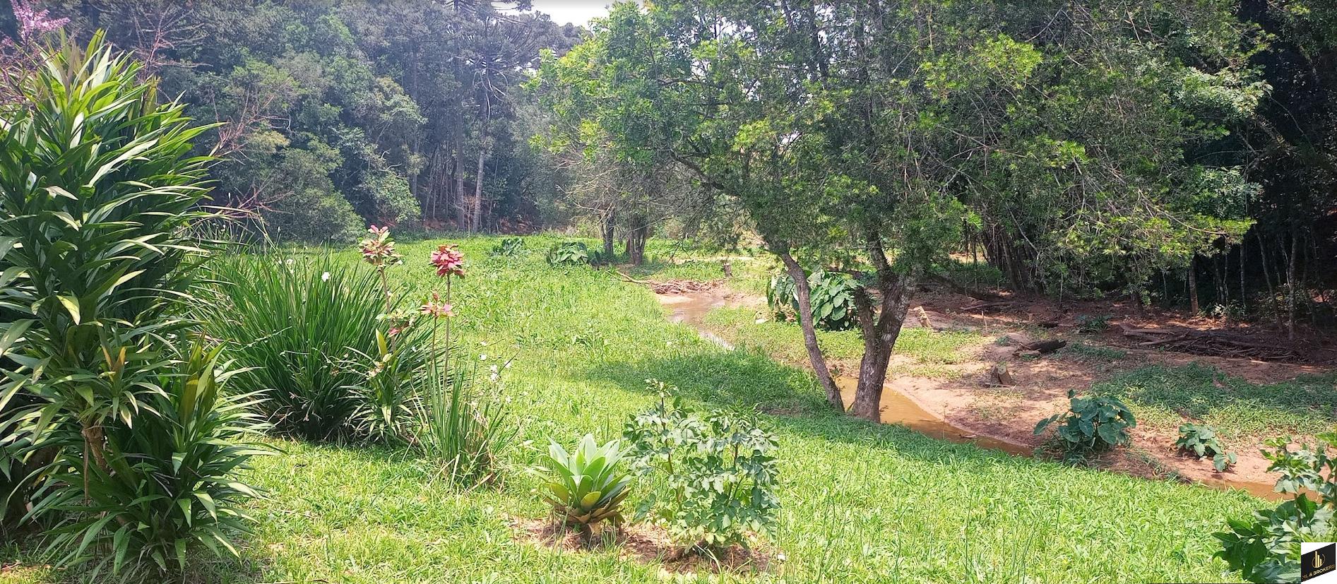 20.000M2/1 KM ATE ASFALTO/PRONTA PARA SEU LAZER/ 11 KM ARAUCARIA/IDEAL AIRBNB