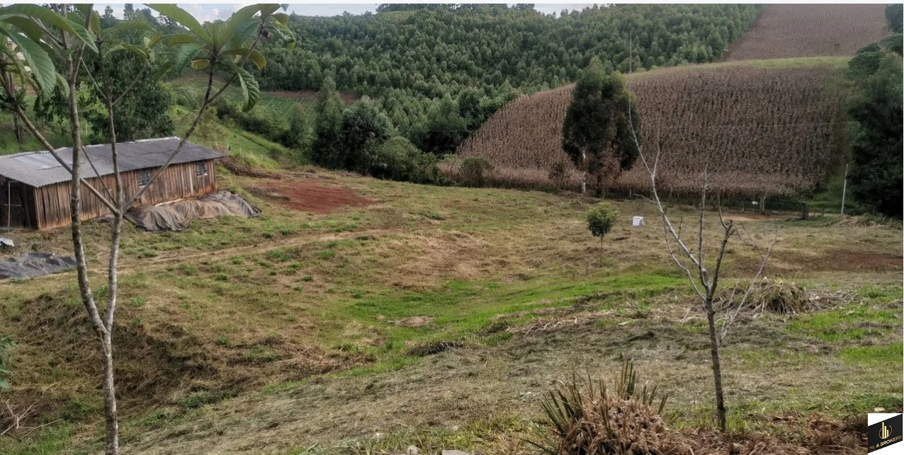 20.000M2/03 SUITES/350M2 CONSTRUÇÃO/PISCINA/ESCRITURADA